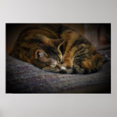 Trage dagen, poster (Voorkant)