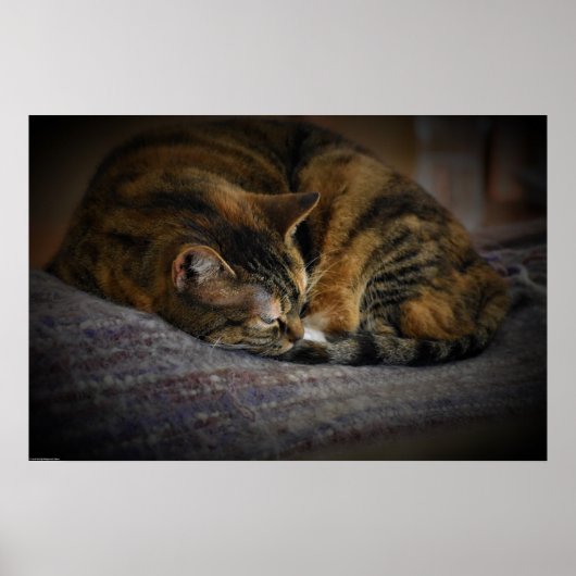 Trage dagen, poster (Voorkant)