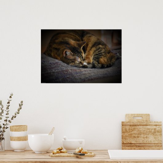 Trage dagen, poster (Keuken)