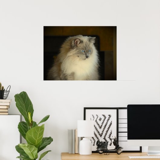 Trage dagen, poster (Thuiskantoor)