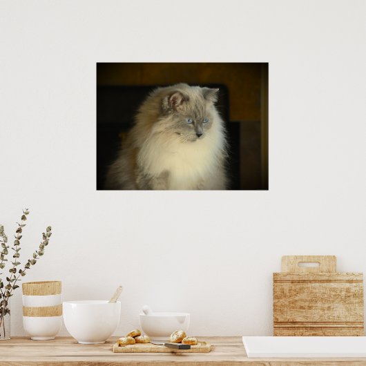 Trage dagen, poster (Keuken)