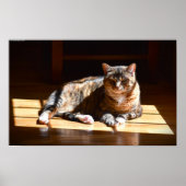 Trage dagen, poster (Voorkant)