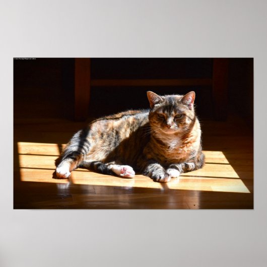 Trage dagen, poster (Voorkant)