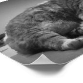 Trage dagen, poster (Hoek)