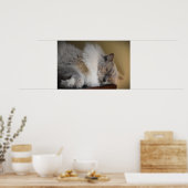 Trage dagen, poster (Keuken)