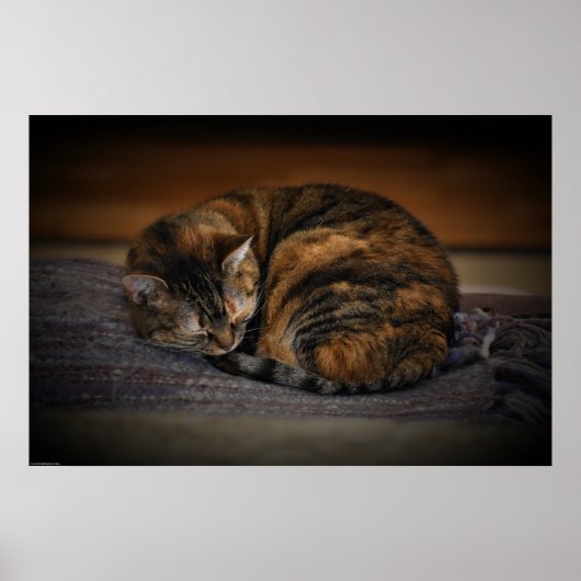 Trage dagen, poster (Voorkant)