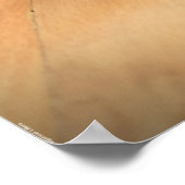 Trage dagen, poster (Hoek)