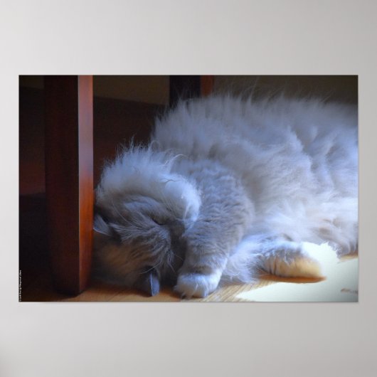 Trage dagen, poster (Voorkant)