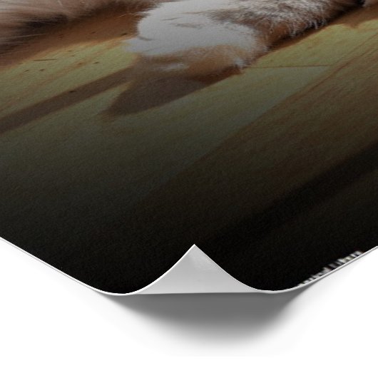 Trage dagen, poster (Hoek)