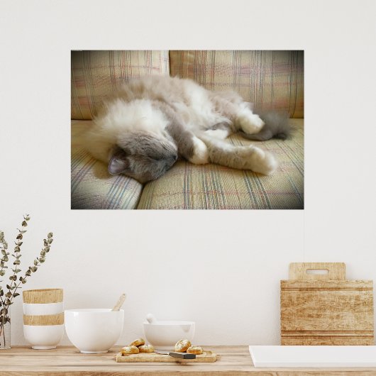 Trage dagen, poster (Keuken)