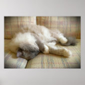 Trage dagen, poster (Voorkant)