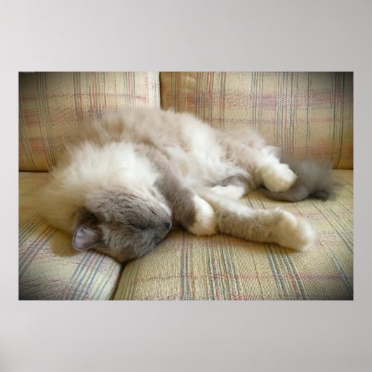 Trage dagen, poster (Voorkant)