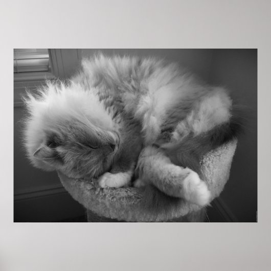 Trage dagen, poster (Voorkant)