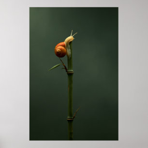 Trage en Stabiele Bamboe Klimmer Poster