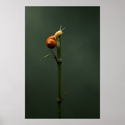 Trage en Stabiele Bamboe Klimmer Poster (Voorkant)