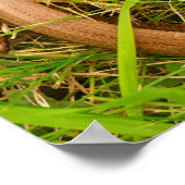 Trage worm Poster (Hoek)