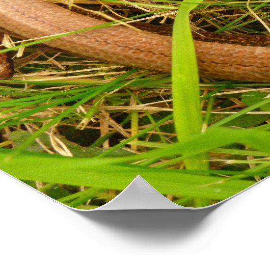 Trage worm Poster (Hoek)