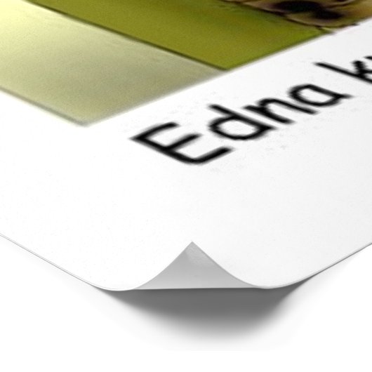 Tragedie bij Roach Motel Funny Posters (Hoek)