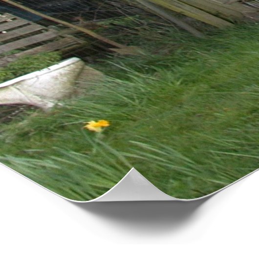 Tragedie oude structuur poster (Hoek)