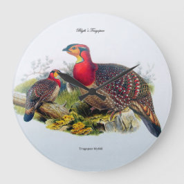 Tragopan/Horny Pheasant Clock J.Gould 1883 Grote Klok