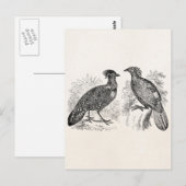 Tragopan Pheasant Impeyan Bird van Hasting Briefkaart (Voorkant / Achterkant)
