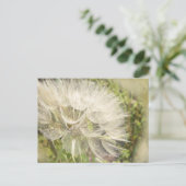 Tragopogon dubius - Gele geitenbaard Briefkaart (Staand voorkant)
