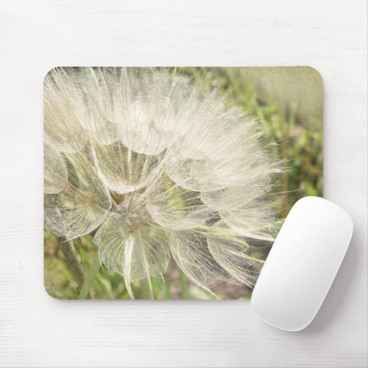 Tragopogon dubius - Gele geitenbaard Muismat (Met muis)