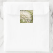 Tragopogon dubius - Gele geitenbaard Vierkante Sticker (Tas)