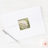 Tragopogon dubius - Gele geitenbaard Vierkante Sticker (Envelop)