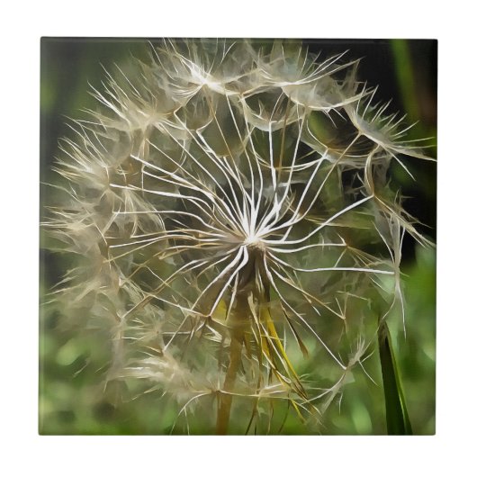 Tragopogon Wildflower Salsify Natuur Lovers Art Tegeltje (Voorkant)