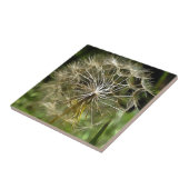 Tragopogon Wildflower Salsify Natuur Lovers Art Tegeltje (Zijkant)