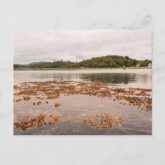 Traigh Beach Briefkaart (Voorkant)