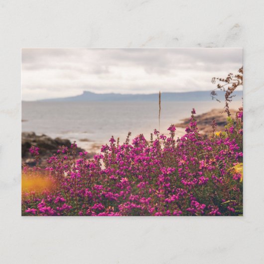 Traigh Beach en Eigg Briefkaart (Voorkant)