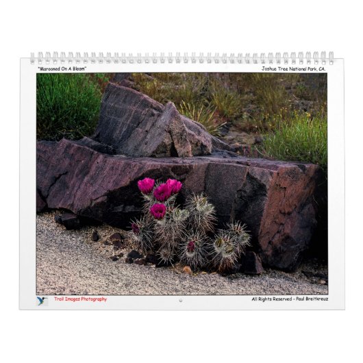 Trail Afbeeldingen Fotografie Agenda Kalender (Hoes)