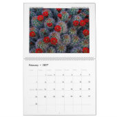 Trail Afbeeldingen Fotografie Agenda Kalender (Feb 2027)