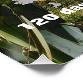  Trail Aroroa Perfect Poster (Hoek)