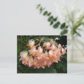 Trail Begonia Briefkaart (Staand voorkant)