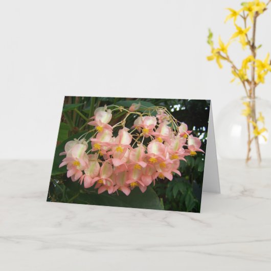 Trail Begonia Kaart (Gele Bloem)