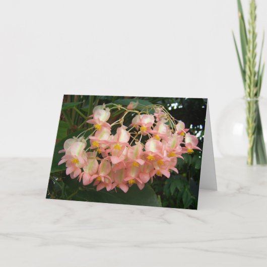 Trail Begonia Kaart (Voorkant)