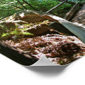 "Trail Break", Muir Bossen Poster (Hoek)