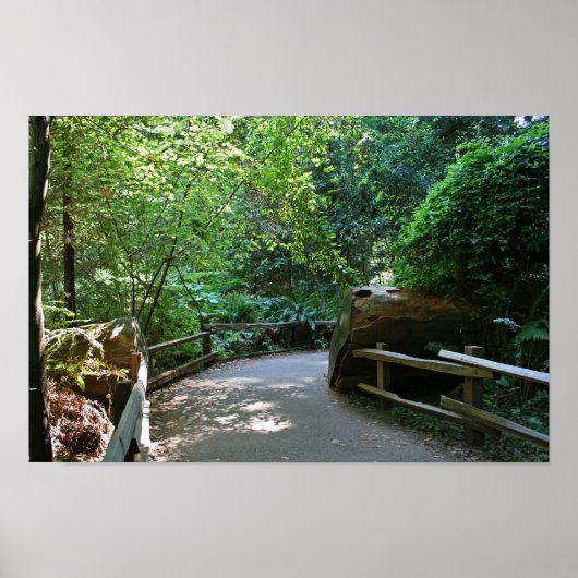 "Trail Break", Muir Bossen Poster (Voorkant)