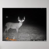 Trail Camera Buck Poster (Voorkant)