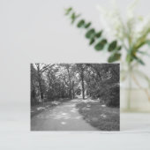 Trail door de Bossen Briefkaart (Staand voorkant)