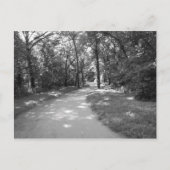 Trail door de Bossen Briefkaart (Voorkant)