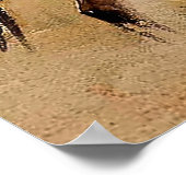 “Trail Drive” 2 Westerse kunst van Edward Borein Poster (Hoek)