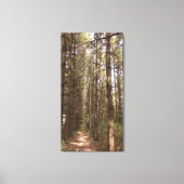 Trail in a Pine Tree Forest Photo Canvas Afdruk (Voorkant)