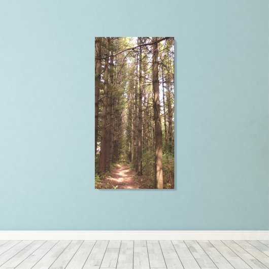 Trail in a Pine Tree Forest Photo Canvas Afdruk (Insitu (Houten vloer))