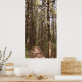 Trail in a Pine Tree Forest Photo Poster (Keuken)