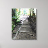 Trail in de Bossen van Mt Rainier Canvas Print (Voorkant)