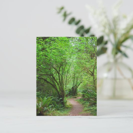 Trail in het mammoetbos briefkaart (Staand voorkant)